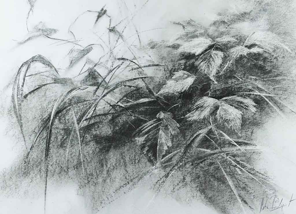 „Pflanzen“, 2021, Kohlezeichnung, 38 x 28 cm