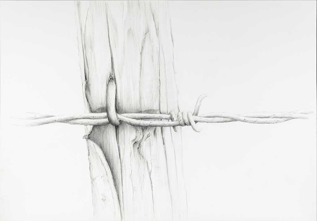 „Gebunden 2“, 2021, Bleistift auf Papier, 50 x 60 cm
