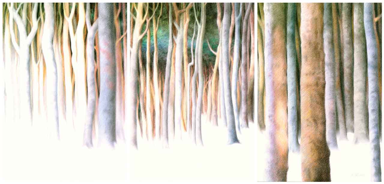 „Bäume“ (Zauberwald), 2011, Farbsift/Grafit auf Karton, dreitelig, 100 x 213 cm